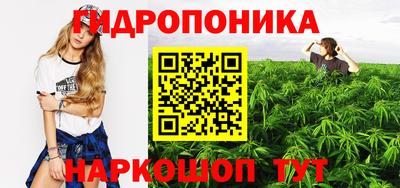 альфа пвп Кингисепп