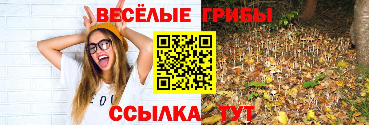 Галлюциногенные грибы Magic Shrooms Корсаков