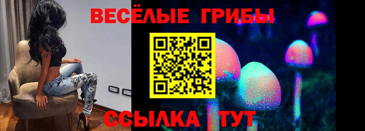 Псилоцибиновые грибы Cubensis  купить  цена  Псилоцибиновые грибы Psilocybine cubensis  Корсаков  Вход с VPN 